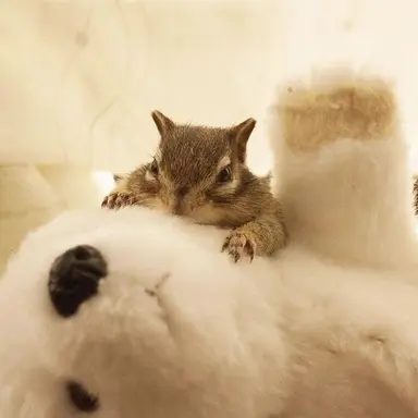 Profile image of 김홍중