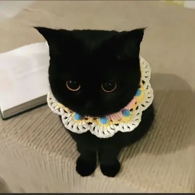 Profile image of 정우영