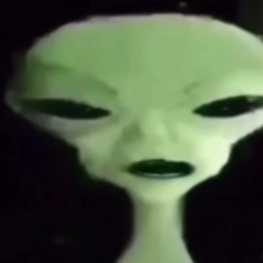 Zip zip