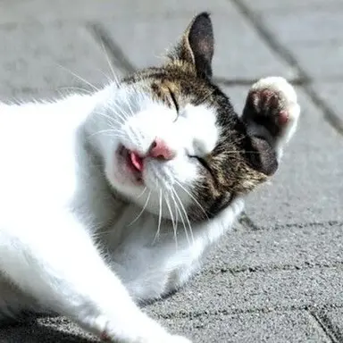 Profile image of 마루