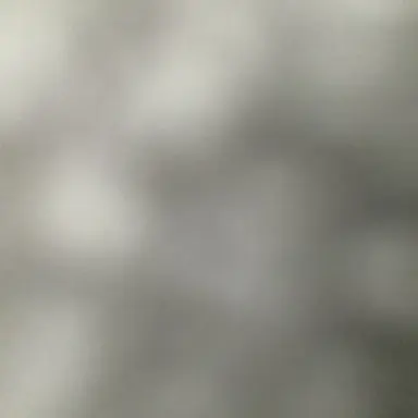 Profile image of 笹中由奈