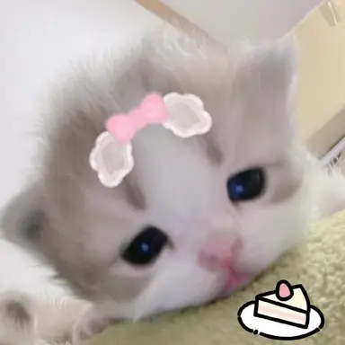 Profile image of 박채이