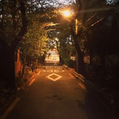 Profile image of 배형원