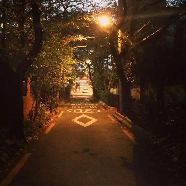 whitegap의 가로등 불빛 아래