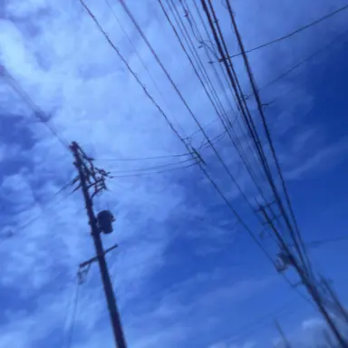 Profile image of アロハ