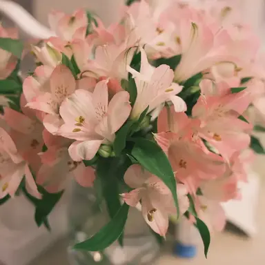 Profile image of 1x1x1x1