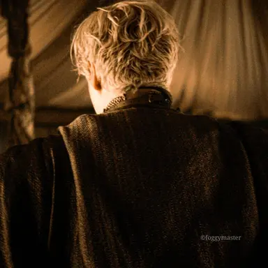 Profile image of Brienne of Tarth