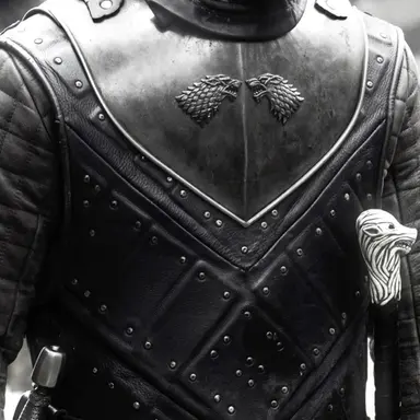 Profile image of Jon Snow