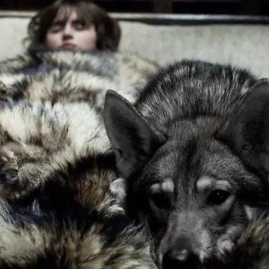 Profile image of Bran Stark