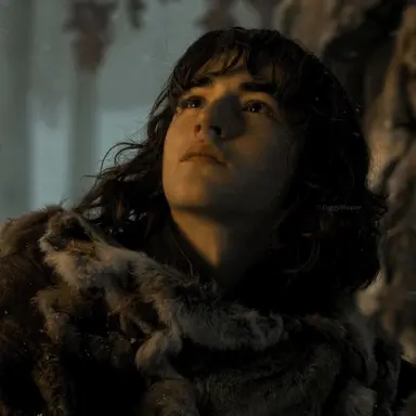 Profile image of Bran Stark
