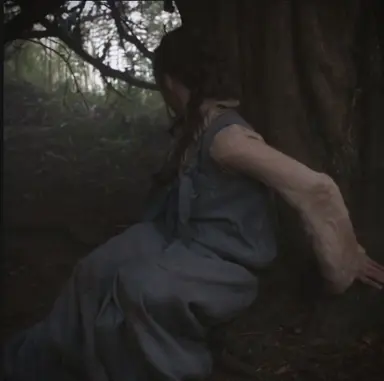Profile image of Arya Stark