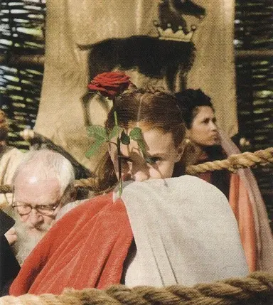 Profile image of Sansa Stark