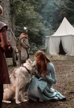 Profile image of Sansa Stark