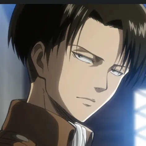 VoicedVirus6244의 리바이 아커만