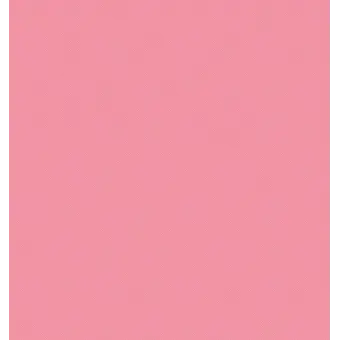 Profile image of ㅈㅈㅈ