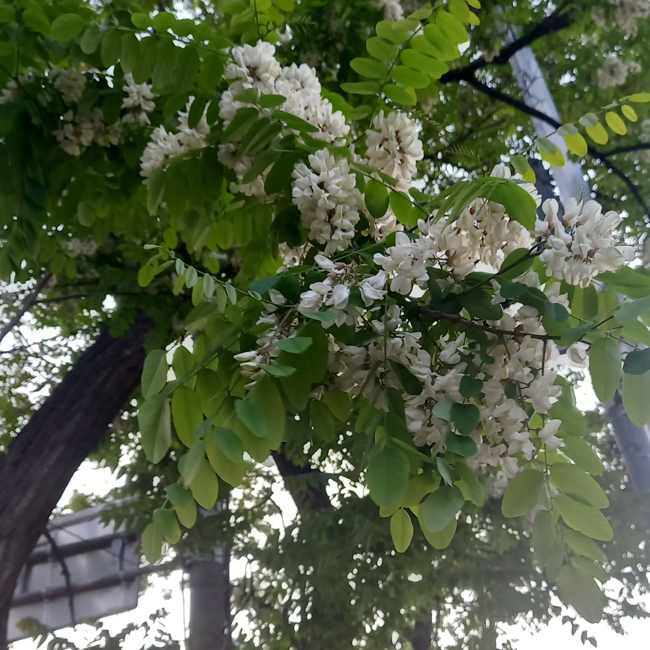 FluidRadar6337의 이준학