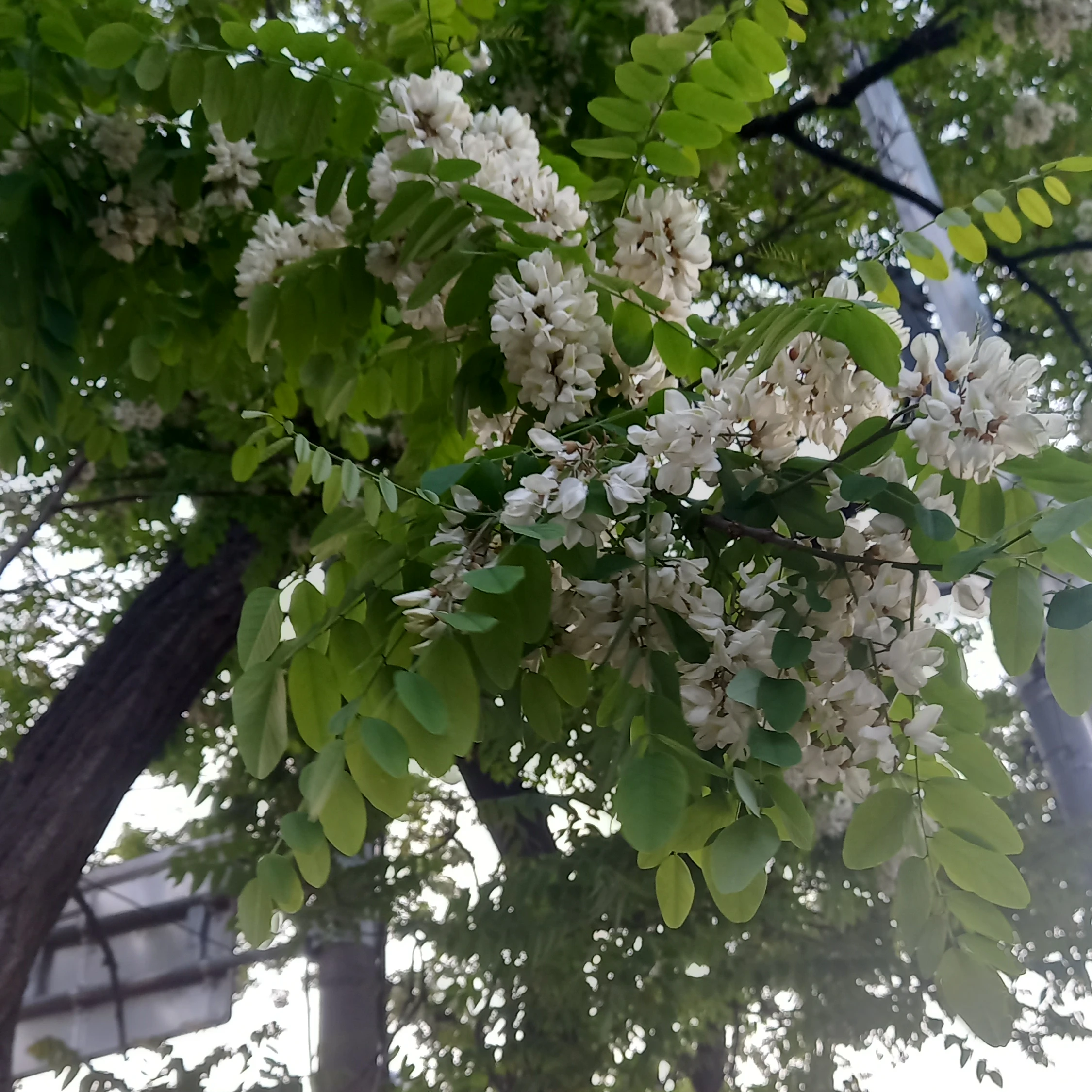 이준학