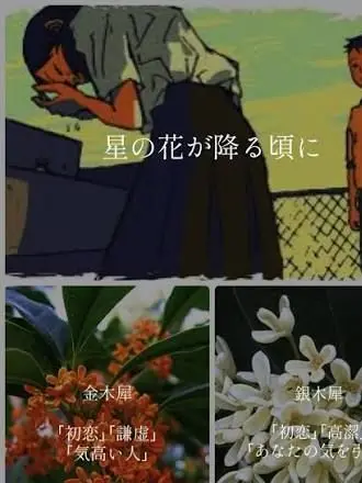 LeanerPages5547의 星の花が降る頃に