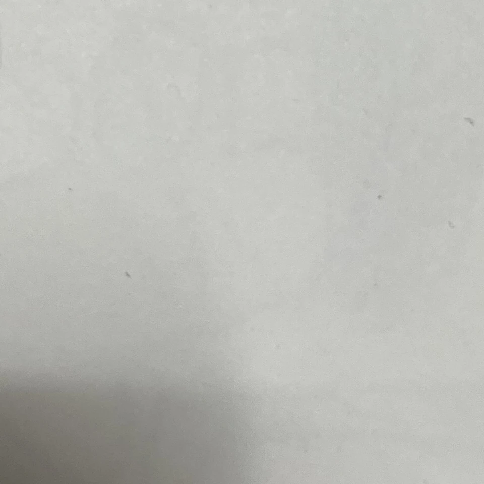 에이션트