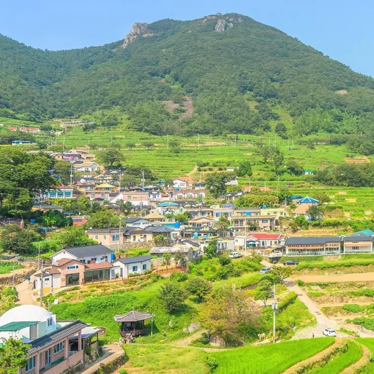 LongReef0279의 한지성