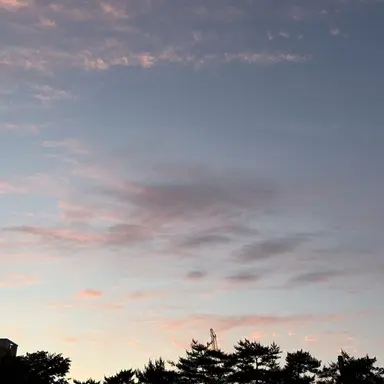 Profile image of 김 운 학
