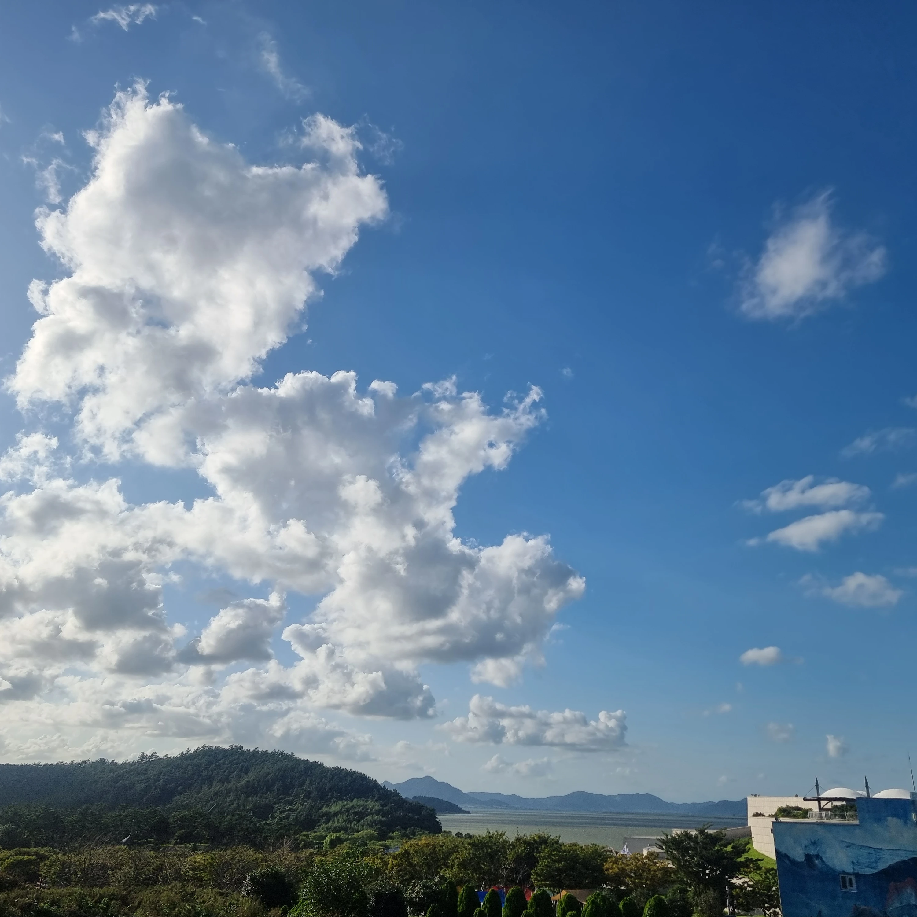 김청문