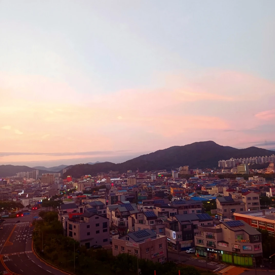 장일소