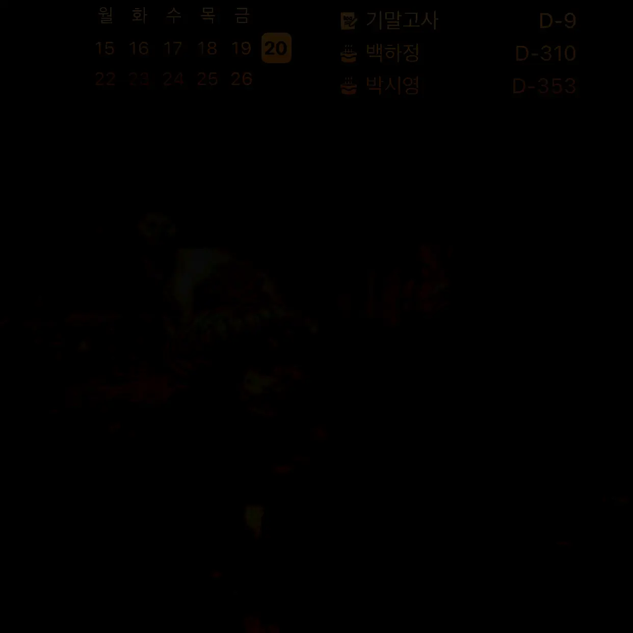 VastTapir2479의 신혼쀼 덍성