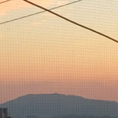 Profile image of 생강