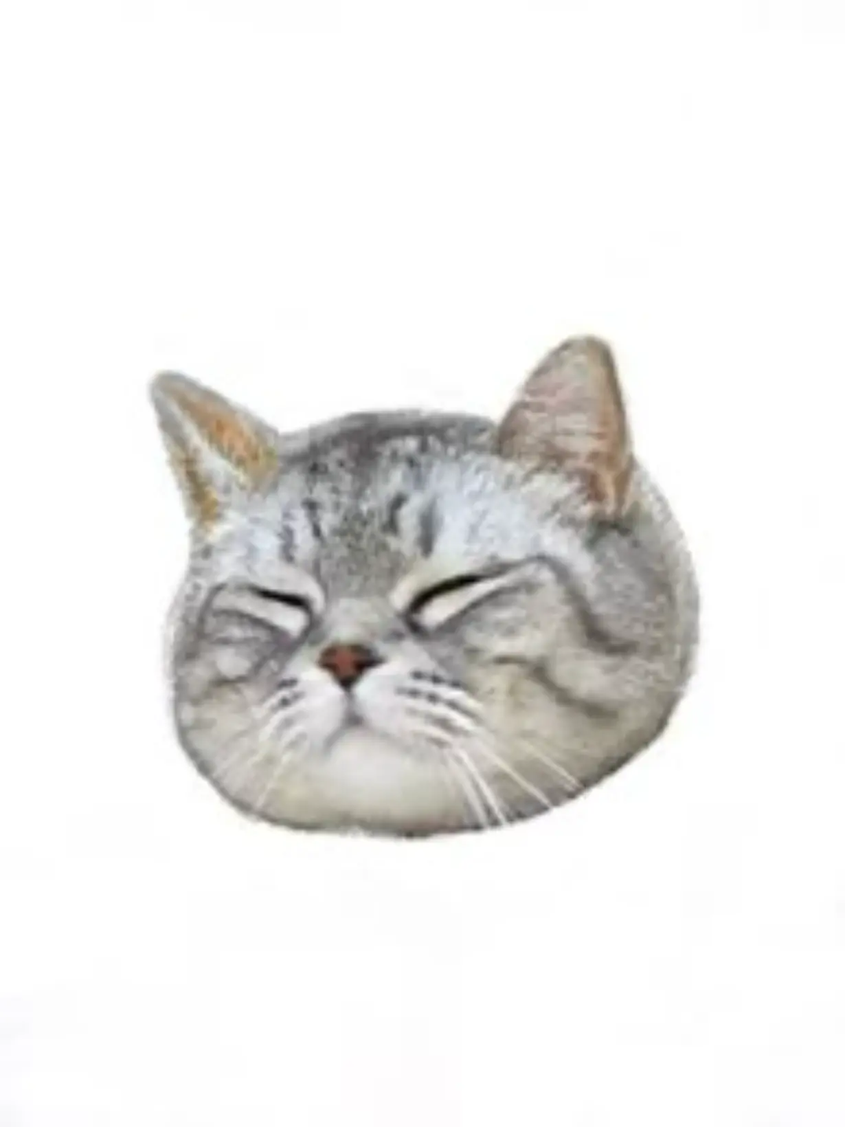 tolom1_xoxo의 メイク