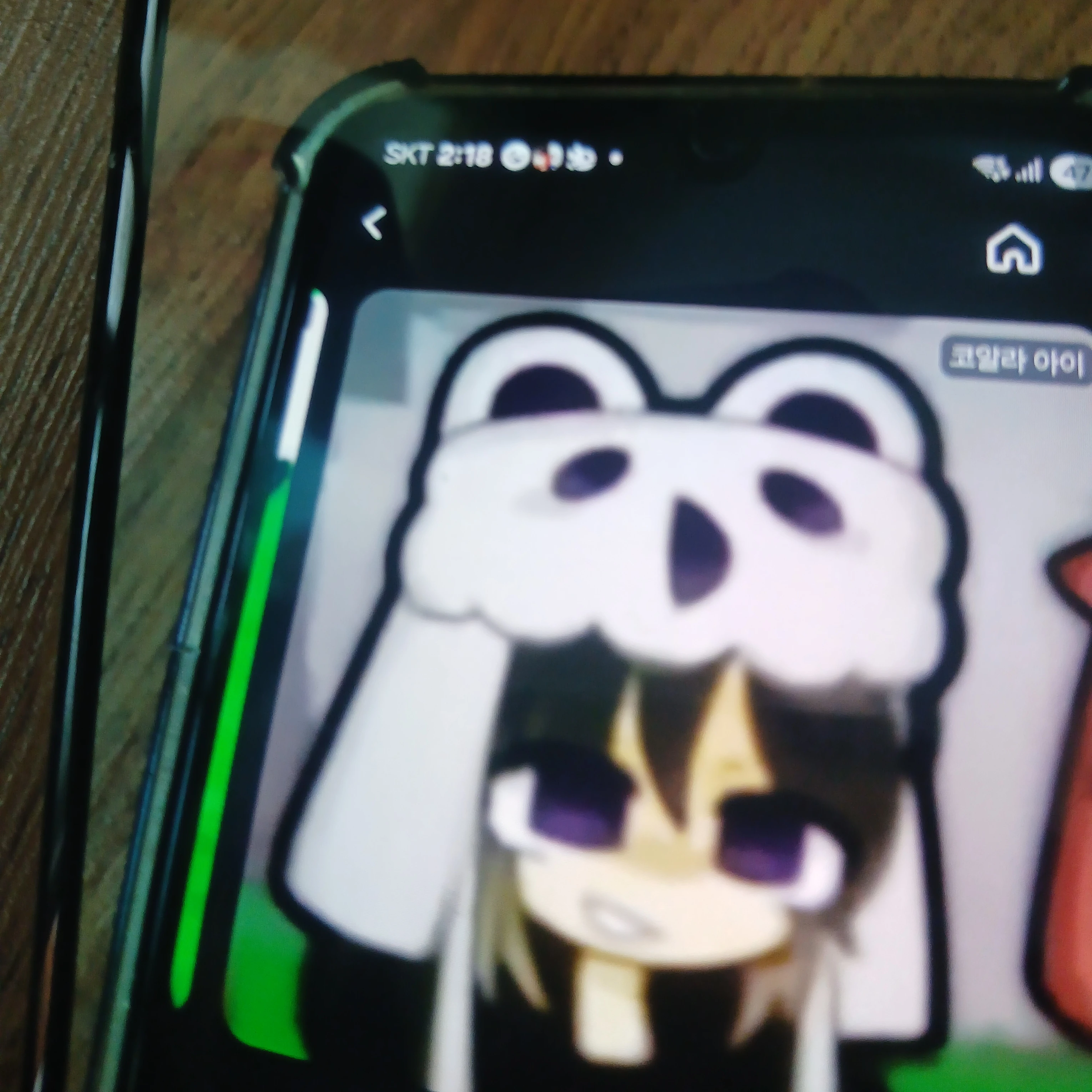 코알라 아이