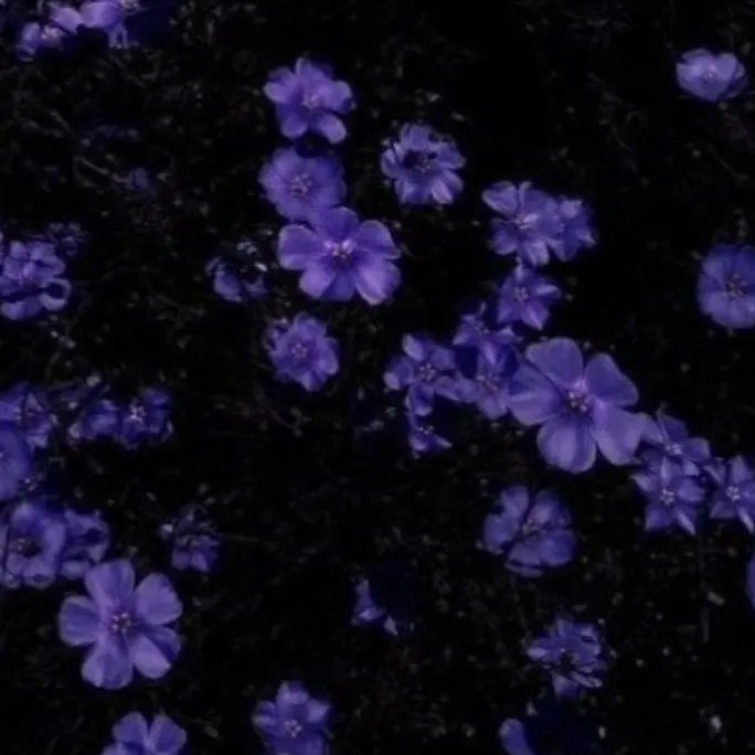 BaldFace6409의 여긴.. 어디야?