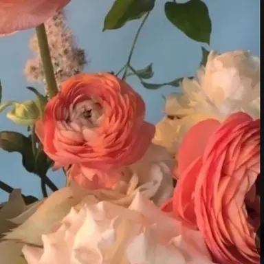 Profile image of 여우