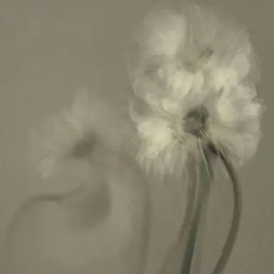 Profile image of 각별