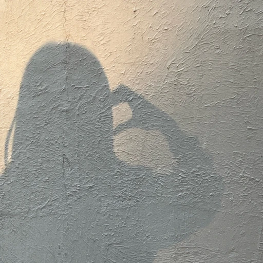 류하