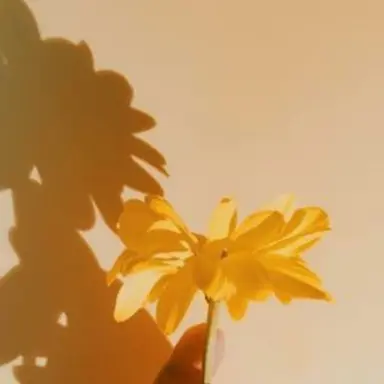 Profile image of 각별