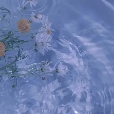 Profile image of 잠경위