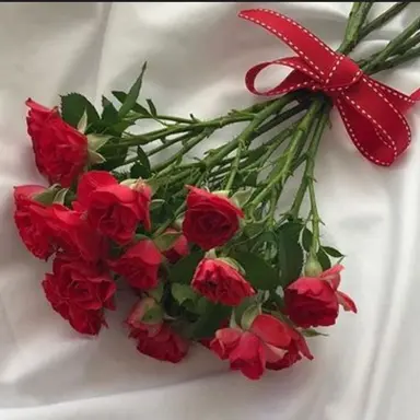 Profile image of 라경사