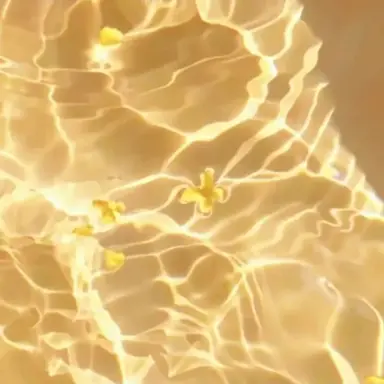 Profile image of 각별