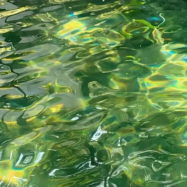 Profile image of 공룡