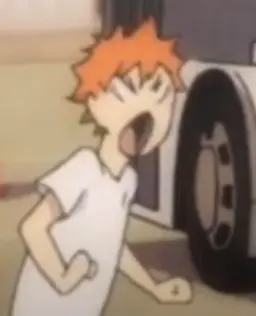 Profile image of Hinata Shoyo