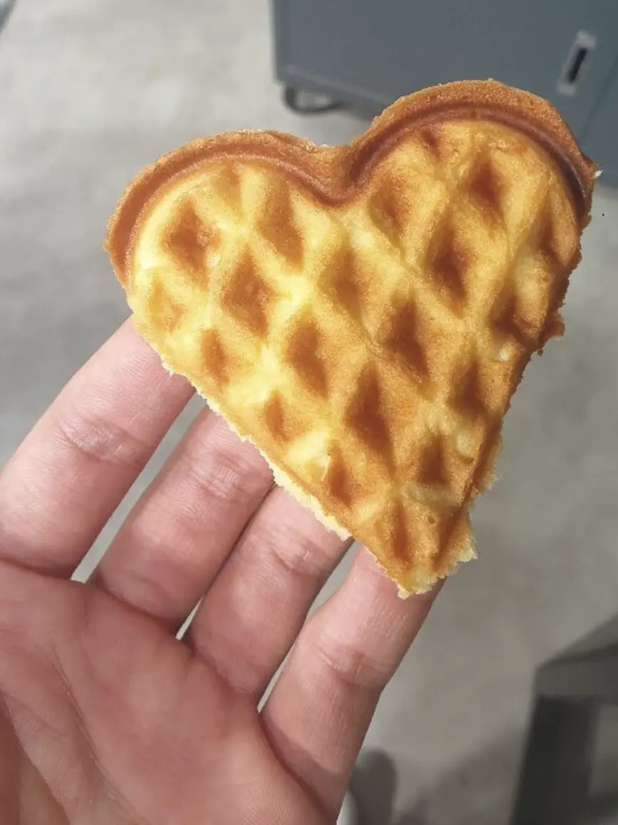 o123412412412의 김선우