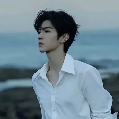 Profile image of Lin Wei