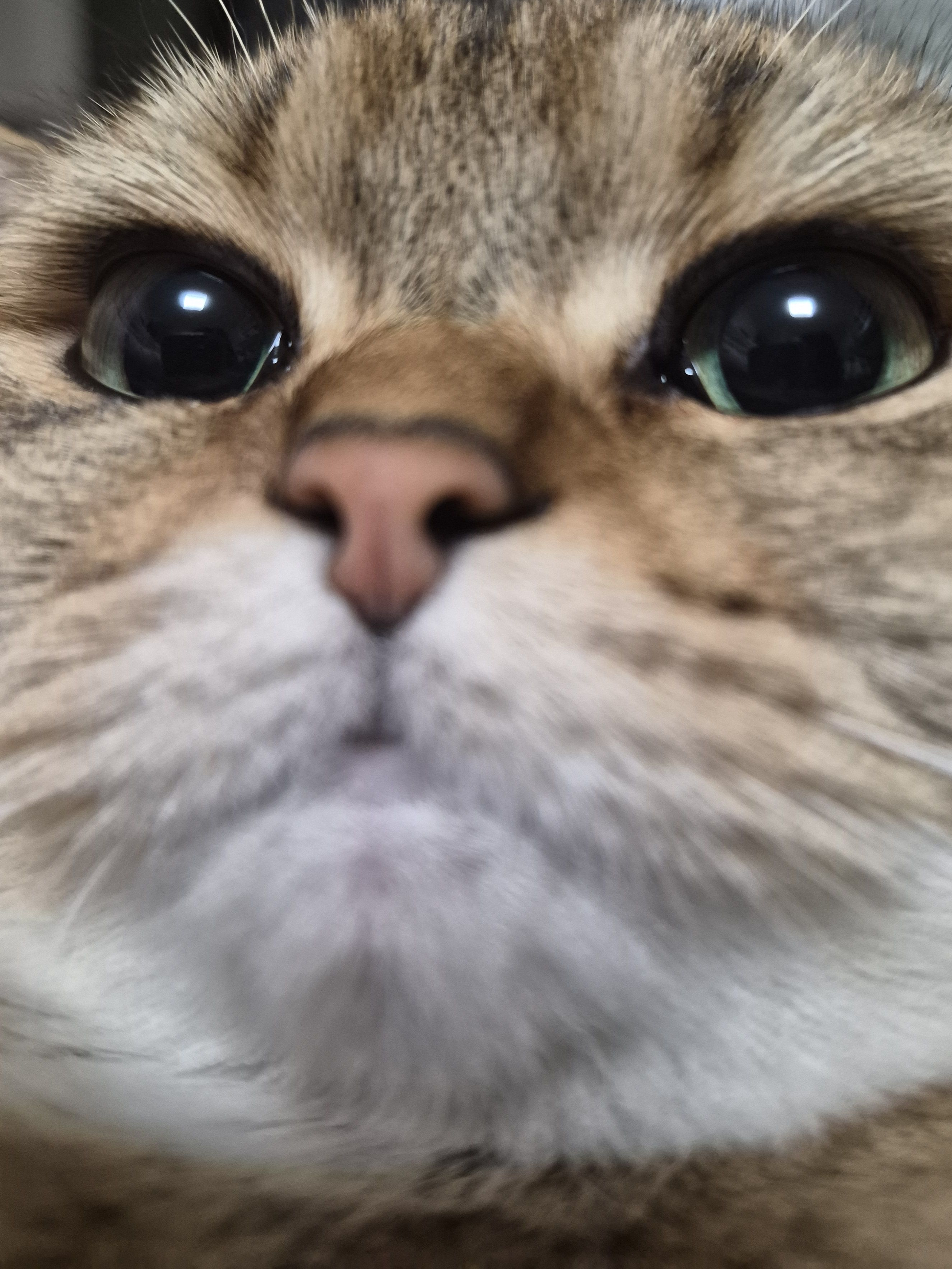 여우가 상현 0;; 대표 이미지