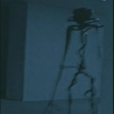 Profile image of 정체불명