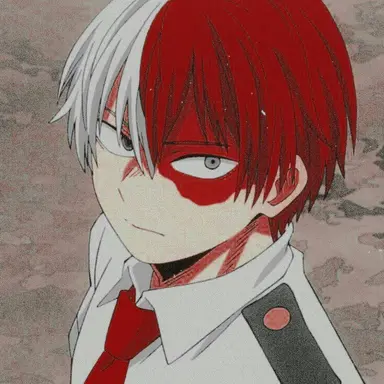 Profile image of Shoto Todoroki