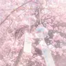 Profile image of 밥풀