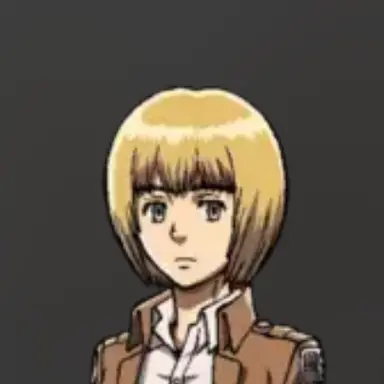 Profile image of アルミン・アルレルト