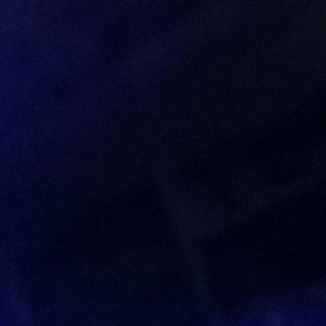 댄디