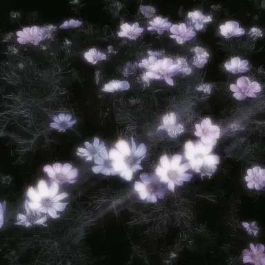 Profile image of 패러다이스